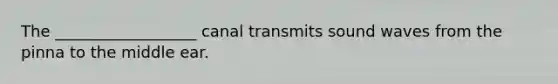 The __________________ canal transmits sound waves from the pinna to the middle ear.