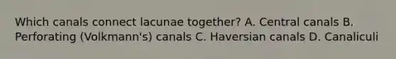 Which canals connect lacunae together? A. Central canals B. Perforating (Volkmann's) canals C. Haversian canals D. Canaliculi