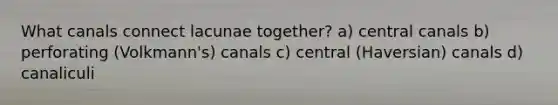 What canals connect lacunae together? a) central canals b) perforating (Volkmann's) canals c) central (Haversian) canals d) canaliculi