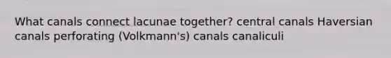 What canals connect lacunae together? central canals Haversian canals perforating (Volkmann's) canals canaliculi