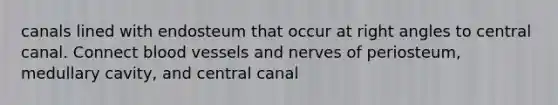 canals lined with endosteum that occur at right angles to central canal. Connect blood vessels and nerves of periosteum, medullary cavity, and central canal