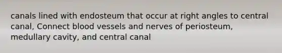 canals lined with endosteum that occur at right angles to central canal, Connect blood vessels and nerves of periosteum, medullary cavity, and central canal