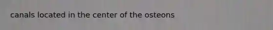 canals located in the center of the osteons