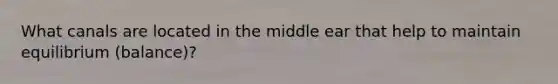 What canals are located in the middle ear that help to maintain equilibrium (balance)?