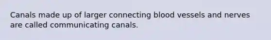 Canals made up of larger connecting blood vessels and nerves are called communicating canals.