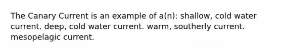 The Canary Current is an example of a(n): shallow, cold water current. deep, cold water current. warm, southerly current. mesopelagic current.