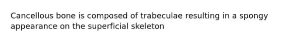 Cancellous bone is composed of trabeculae resulting in a spongy appearance on the superficial skeleton