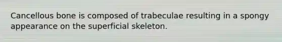 Cancellous bone is composed of trabeculae resulting in a spongy appearance on the superficial skeleton.