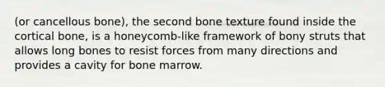 (or cancellous bone), the second bone texture found inside the cortical bone, is a honeycomb-like framework of bony struts that allows long bones to resist forces from many directions and provides a cavity for bone marrow.