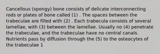 Cancellous (spongy) bone consists of delicate interconnecting rods or plates of bone called (1) . The spaces between the trabeculae are filled with (2) . Each trabecula consists of several lamellae, with (3) between the lamellae. Usually no (4) penetrate the trabeculae, and the trabeculae have no central canals. Nutrients pass by diffusion through the (5) to the osteocytes of the trabeculae 1