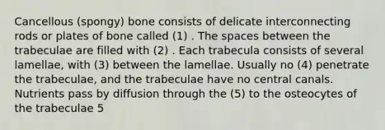 Cancellous (spongy) bone consists of delicate interconnecting rods or plates of bone called (1) . The spaces between the trabeculae are filled with (2) . Each trabecula consists of several lamellae, with (3) between the lamellae. Usually no (4) penetrate the trabeculae, and the trabeculae have no central canals. Nutrients pass by diffusion through the (5) to the osteocytes of the trabeculae 5