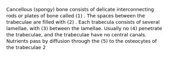 Cancellous (spongy) bone consists of delicate interconnecting rods or plates of bone called (1) . The spaces between the trabeculae are filled with (2) . Each trabecula consists of several lamellae, with (3) between the lamellae. Usually no (4) penetrate the trabeculae, and the trabeculae have no central canals. Nutrients pass by diffusion through the (5) to the osteocytes of the trabeculae 2