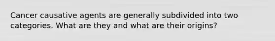 Cancer causative agents are generally subdivided into two categories. What are they and what are their origins?