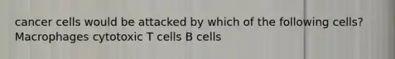 cancer cells would be attacked by which of the following cells? Macrophages cytotoxic T cells B cells