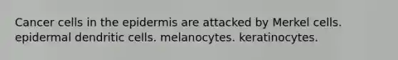 Cancer cells in the epidermis are attacked by Merkel cells. epidermal dendritic cells. melanocytes. keratinocytes.