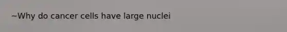 ~Why do cancer cells have large nuclei