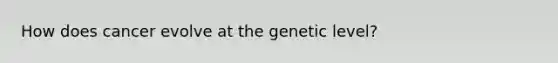 How does cancer evolve at the genetic level?