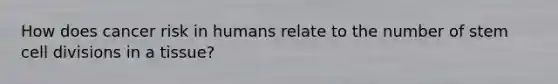 How does cancer risk in humans relate to the number of stem cell divisions in a tissue?