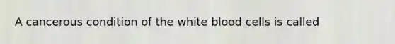 A cancerous condition of the white blood cells is called