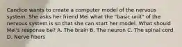 Candice wants to create a computer model of the nervous system. She asks her friend Mei what the "basic unit" of the nervous system is so that she can start her model. What should Mei's response be? A. The brain B. The neuron C. The spinal cord D. Nerve fibers