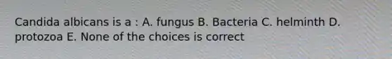 Candida albicans is a : A. fungus B. Bacteria C. helminth D. protozoa E. None of the choices is correct