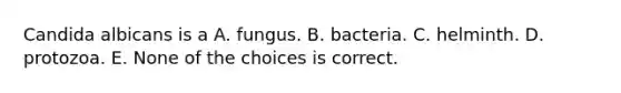 Candida albicans is a A. fungus. B. bacteria. C. helminth. D. protozoa. E. None of the choices is correct.