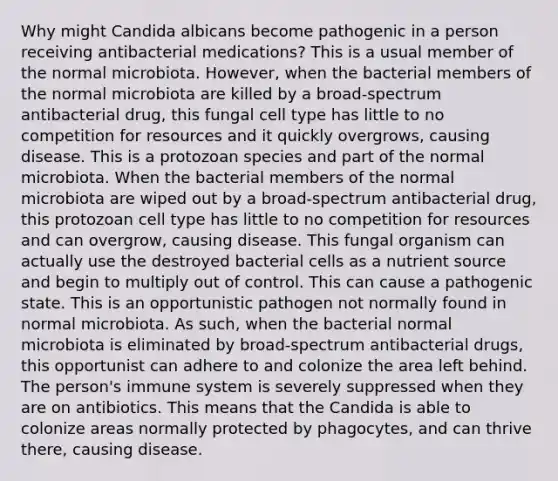 Why might Candida albicans become pathogenic in a person receiving antibacterial medications? This is a usual member of the normal microbiota. However, when the bacterial members of the normal microbiota are killed by a broad-spectrum antibacterial drug, this fungal cell type has little to no competition for resources and it quickly overgrows, causing disease. This is a protozoan species and part of the normal microbiota. When the bacterial members of the normal microbiota are wiped out by a broad-spectrum antibacterial drug, this protozoan cell type has little to no competition for resources and can overgrow, causing disease. This fungal organism can actually use the destroyed bacterial cells as a nutrient source and begin to multiply out of control. This can cause a pathogenic state. This is an opportunistic pathogen not normally found in normal microbiota. As such, when the bacterial normal microbiota is eliminated by broad-spectrum antibacterial drugs, this opportunist can adhere to and colonize the area left behind. The person's immune system is severely suppressed when they are on antibiotics. This means that the Candida is able to colonize areas normally protected by phagocytes, and can thrive there, causing disease.