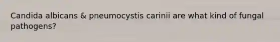 Candida albicans & pneumocystis carinii are what kind of fungal pathogens?