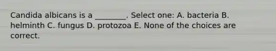 Candida albicans is a ________. Select one: A. bacteria B. helminth C. fungus D. protozoa E. None of the choices are correct.