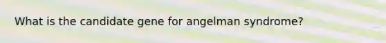 What is the candidate gene for angelman syndrome?