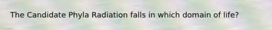 The Candidate Phyla Radiation falls in which domain of life?