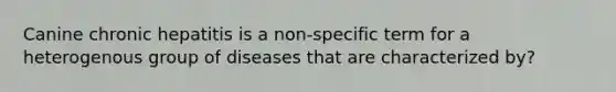 Canine chronic hepatitis is a non-specific term for a heterogenous group of diseases that are characterized by?