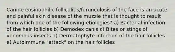 Canine eosinophilic folliculitis/furunculosis of the face is an acute and painful skin disease of the muzzle that is thought to result from which one of the following etiologies? a) Bacterial infection of the hair follicles b) Demodex canis c) Bites or stings of venomous insects d) Dermatophyte infection of the hair follicles e) Autoimmune "attack" on the hair follicles