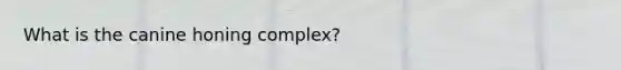 What is the canine honing complex?