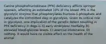 Canine phosphofructokinase (PFK) deficiency afflicts springer spaniels, affecting an estimated 10% of the breed. PFK is the glycolytic enzyme that phosphorylates fructose-1-phosphate and catalyzes the committed step in glycolysis. Given its critical role in glycolysis, one implication of the genetic defect resulting in PFK deficiency in dogs is A) early embryonic mortality. B) elevated blood-glucose levels. C) exercise intolerance. D) nothing. It would have no visible effect on the health of the animal.