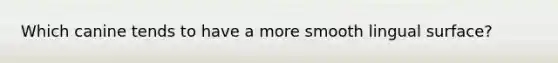 Which canine tends to have a more smooth lingual surface?