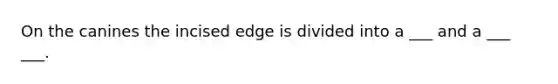 On the canines the incised edge is divided into a ___ and a ___ ___.