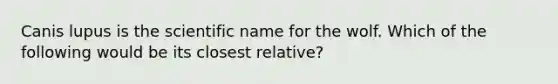 Canis lupus is the scientific name for the wolf. Which of the following would be its closest relative?