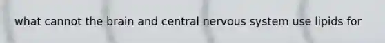 what cannot the brain and central nervous system use lipids for