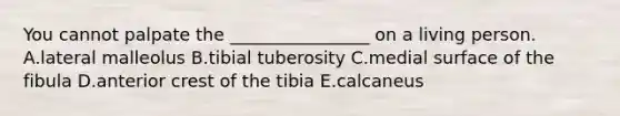 You cannot palpate the ________________ on a living person. A.lateral malleolus B.tibial tuberosity C.medial surface of the fibula D.anterior crest of the tibia E.calcaneus