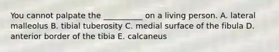 You cannot palpate the __________ on a living person. A. lateral malleolus B. tibial tuberosity C. medial surface of the fibula D. anterior border of the tibia E. calcaneus