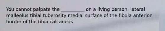 You cannot palpate the __________ on a living person. lateral malleolus tibial tuberosity medial surface of the fibula anterior border of the tibia calcaneus