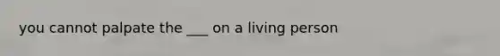 you cannot palpate the ___ on a living person