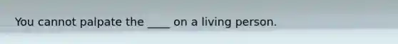 You cannot palpate the ____ on a living person.