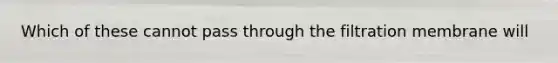 Which of these cannot pass through the filtration membrane will