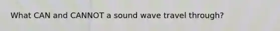 What CAN and CANNOT a sound wave travel through?