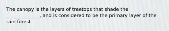 The canopy is the layers of treetops that shade the ______________, and is considered to be the primary layer of the rain forest.