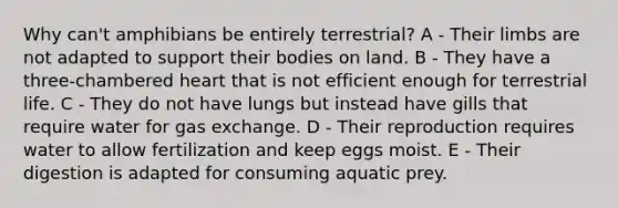 Why can't amphibians be entirely terrestrial? A - Their limbs are not adapted to support their bodies on land. B - They have a three-chambered heart that is not efficient enough for terrestrial life. C - They do not have lungs but instead have gills that require water for gas exchange. D - Their reproduction requires water to allow fertilization and keep eggs moist. E - Their digestion is adapted for consuming aquatic prey.