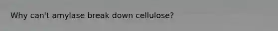 Why can't amylase break down cellulose?