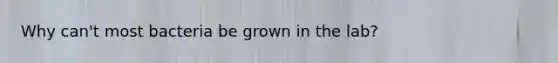 Why can't most bacteria be grown in the lab?